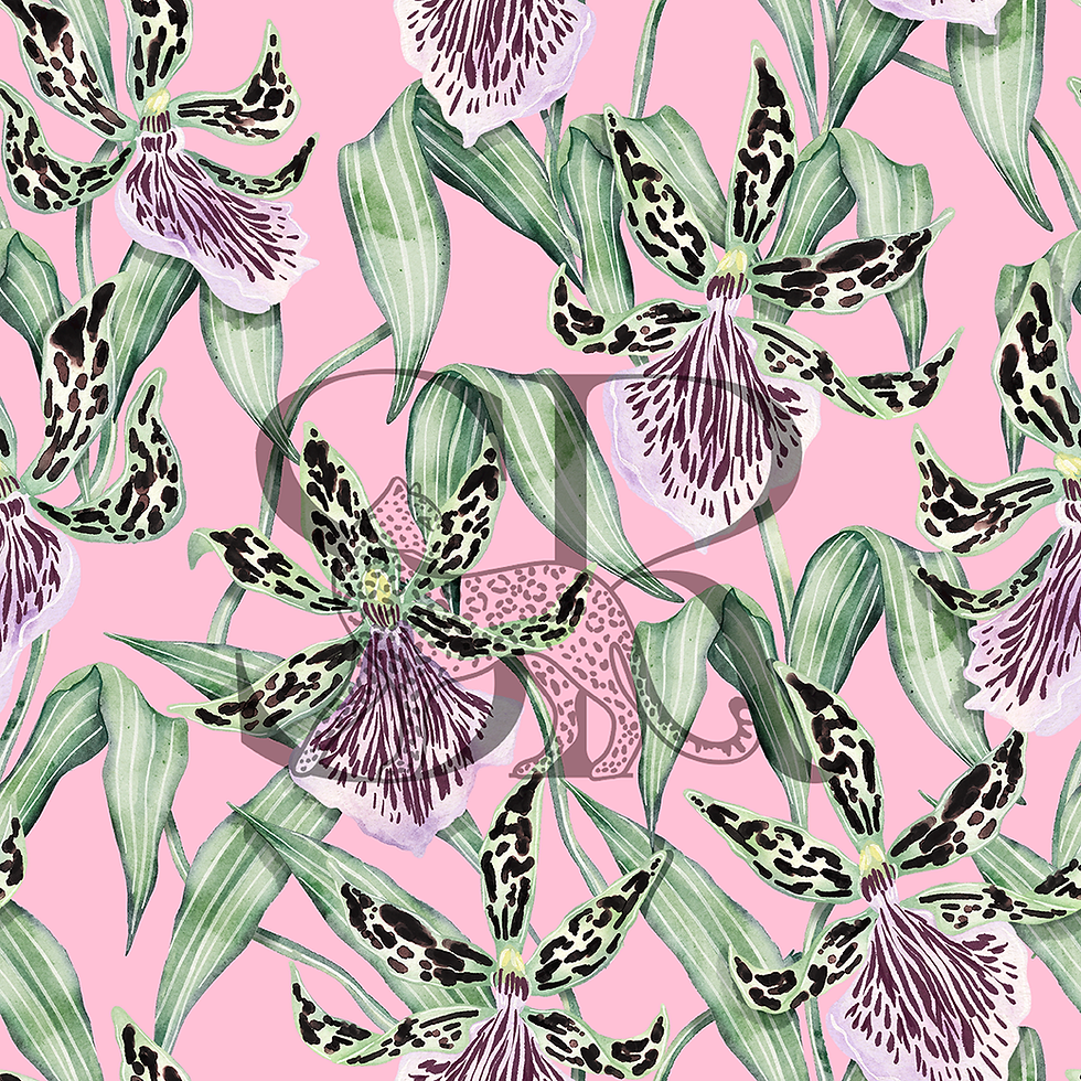 Thumbnail: Zygo Sauvage – Digital Print