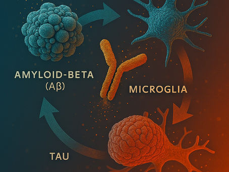 molekularbiologische Ursachen der Alzheimer-Erkrankung