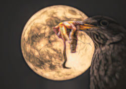 moon