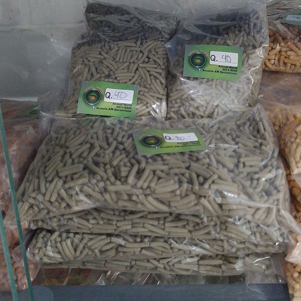 Miniatura:   Tetra Reptomin 1 lb 