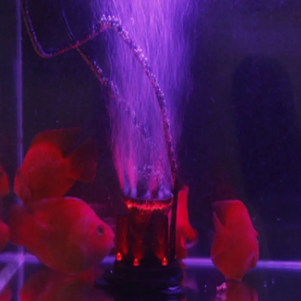 Miniatura: Bomba airadora con luz roja PY-101 JAD