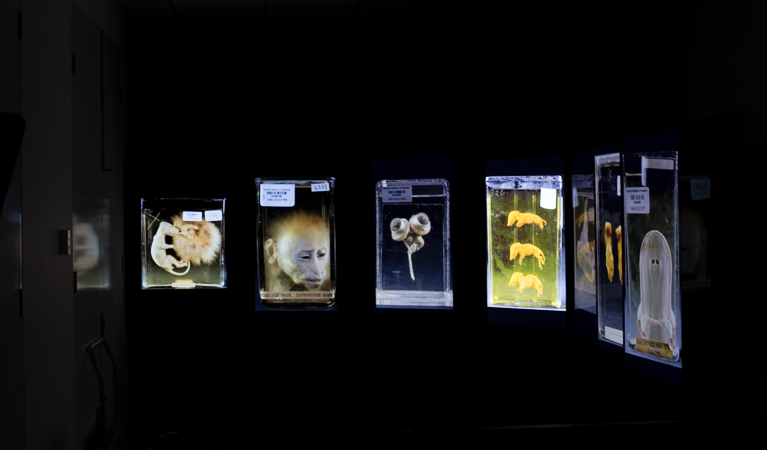 Screen Shot 2015-07-30 at 9.03.33 AM.png