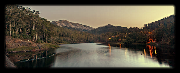 Lake Bogong Sound Walk