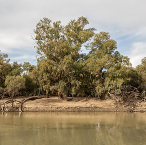 JOH2306_01_NMA_Menindee-197WEB.jpg