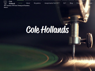 Website Evaluation