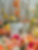 marinesin_a_macbook_surrounded_by_colored_flowers_in_the_style__a656a201-05c3-40ff-9038-88