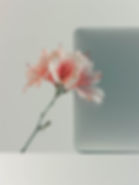 marinesin_a_macbook_with_flower_going_out_of_its_screen_in_the__7825fccb-fef6-4c19-8201-ee