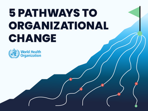 Overcoming organizational barriers to support governance of mixed health systems