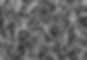 ANF_CPD_AEE_3um_edited.jpg