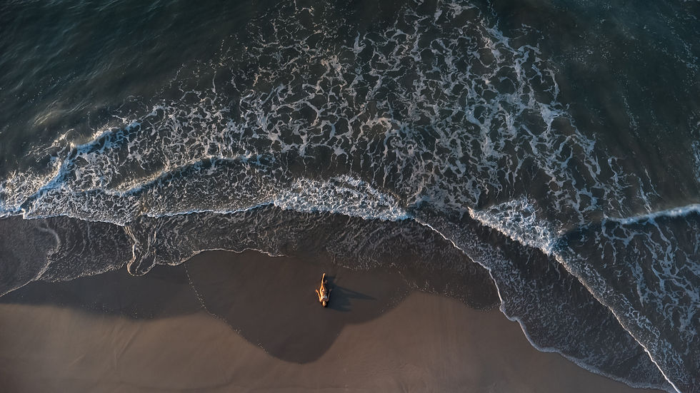 DJI_0445.jpg