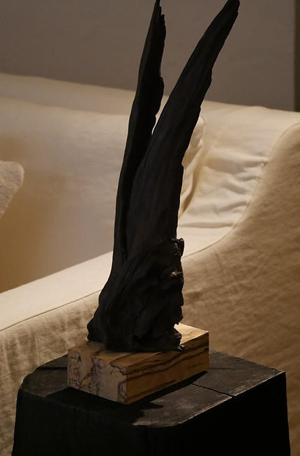 P1050237.JPG