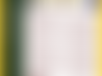 The Declarer - Election Edition