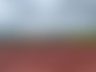 CAMINHADA PELO CERRADO PAULISTA