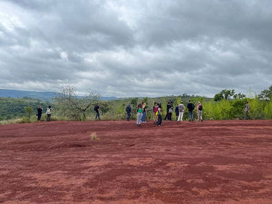 CAMINHADA PELO CERRADO PAULISTA