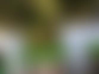 100 ANOS DO PARQUE DO IBIRAPUERA, O QUE ENCONTRAREMOS NELE? - 30/08/2019