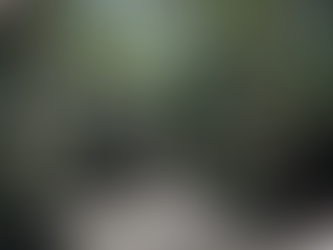 HORA DE ELEGER OS CONSELHOS DOS PARQUES