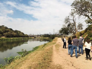 SÃO PAULO REDUZ EM 78% O NÚMERO DE AGENTES FISCALIZADORES AMBIENTAIS.