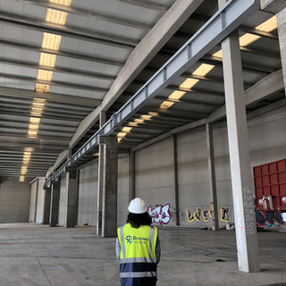 DINGEMAS-ESTRUCTURAS-INGENIERIA-RIBAVELL