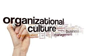 Understanding Organization Culture