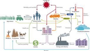 High Cost of Electricity and the Pandemic