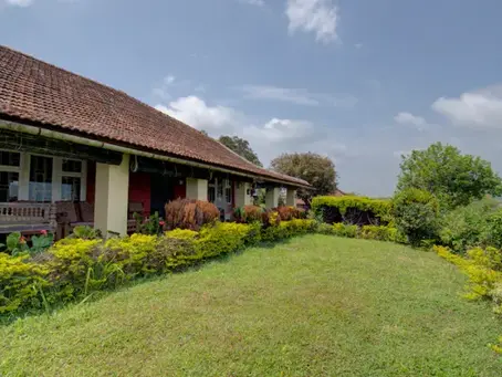 Homestays Near Abbey Falls Coorg: A Perfect Retreat for Nature Enthusiasts
