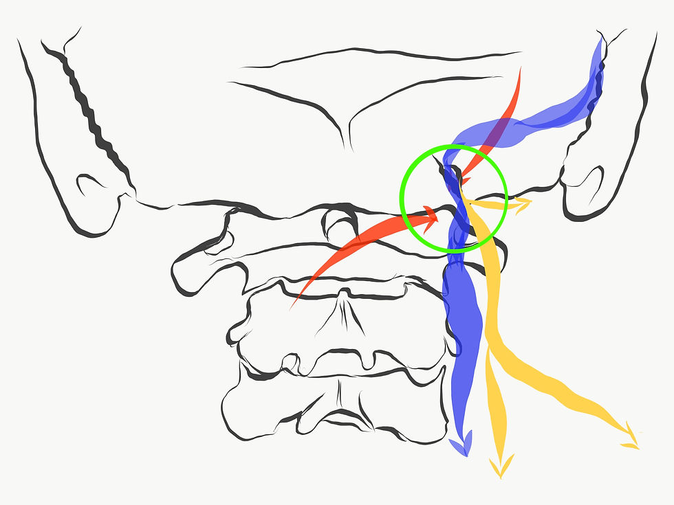 Miniaturbild: OBSTETRICS AUFSTELLER