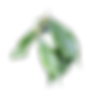 Image-empty-state_edited.jpg