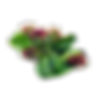 Image-empty-state_edited.jpg