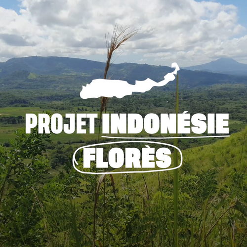 Présentation de notre projet Indonésie Florès - Véritable paradis des sens
