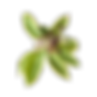 Image-empty-state_edited.jpg
