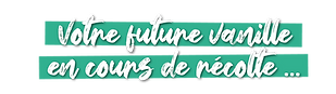 TEXTE_VANILLE.png