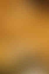 Tortellini in Bologna