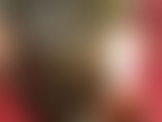 [ Italian American Thanksgiving ]