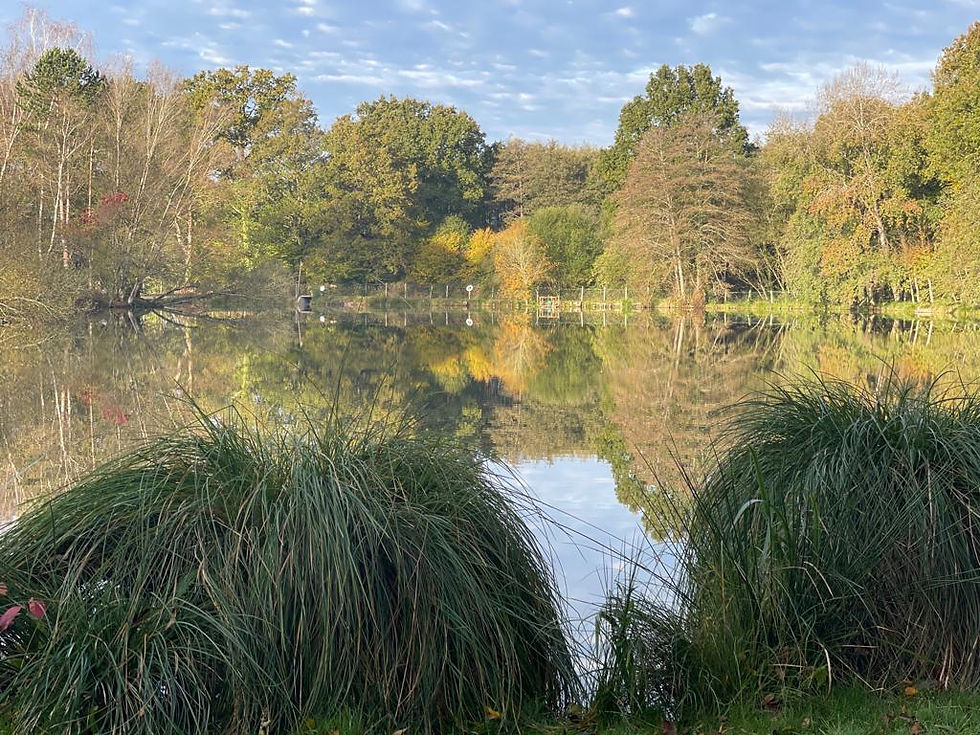 Autumn Etang Les Burons