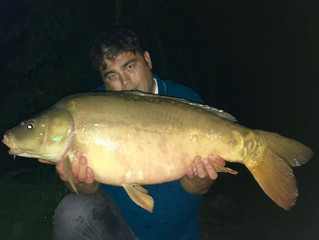 Feedback ~ Alan, Helen & Jack King ~ 19th-26th October 2019