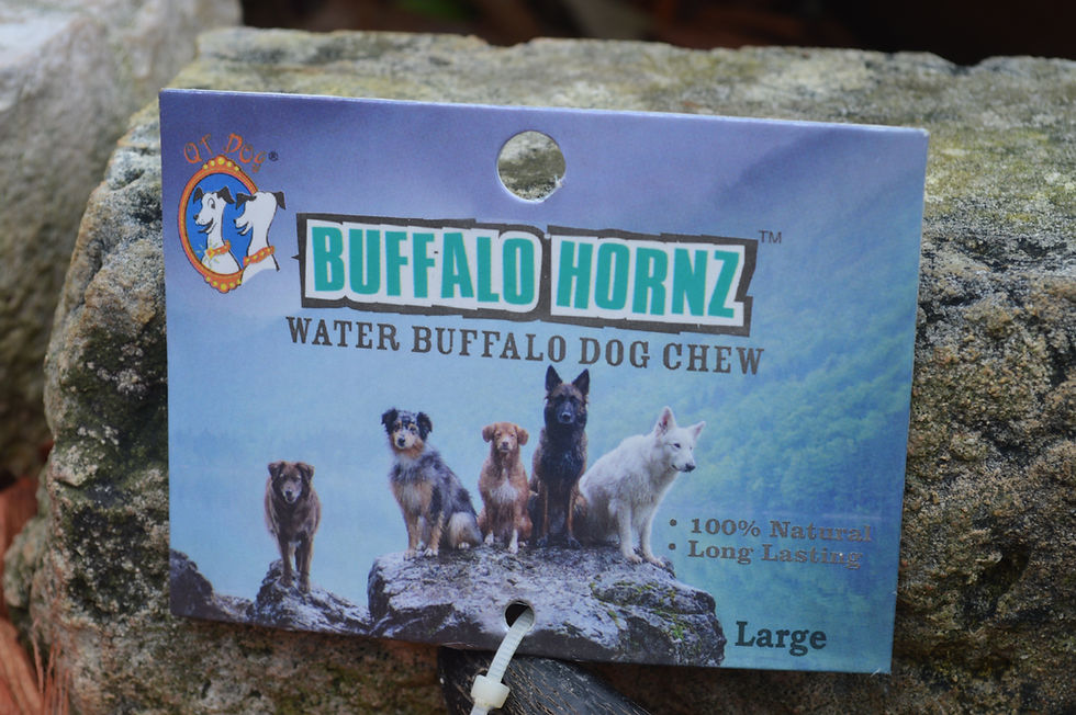 Thumbnail: Water Buffalo Horn