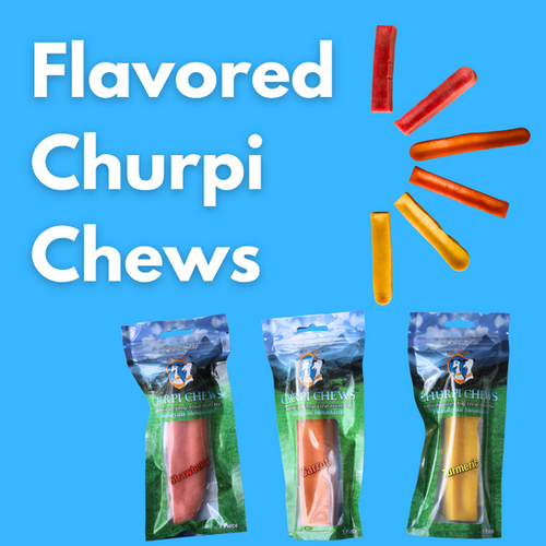 Flavored Churpi - Yak Cheese Dog Chew | QT Dog