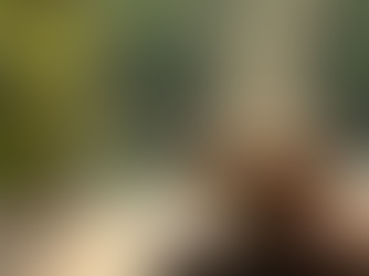 Elevate Wellness with Our Curated Detox Tea Selection