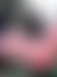 『赤い砂漠』── 孤独の地形図としての色彩と音響