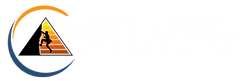 Next Level Chiropractic Horizontal Logo
