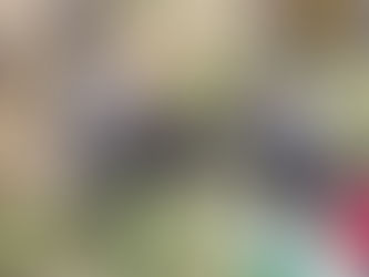 Filming Rhinos and Elephants in Northern Kwazulu Natal