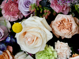 Responsible Luxury: The Biophilic Mandate