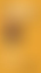 21/25 Novembre, "Mostra Evento contro la violenza di genere".