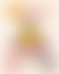 "Rosticini per i Bambini"