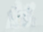 修