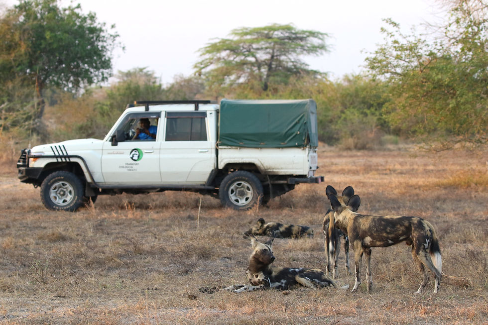Masters student and Selous head ecologist taking ID photos