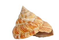 images_edited_edited_edited.png