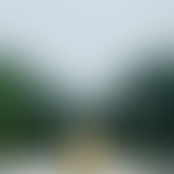 森の中のコーヒー