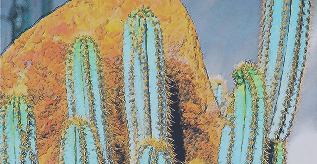 Directory Gila Bend Chamber