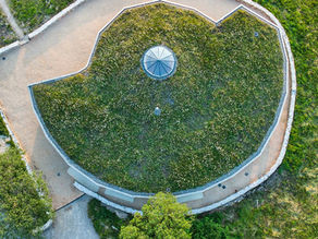 Grass Roof in Full Bloom